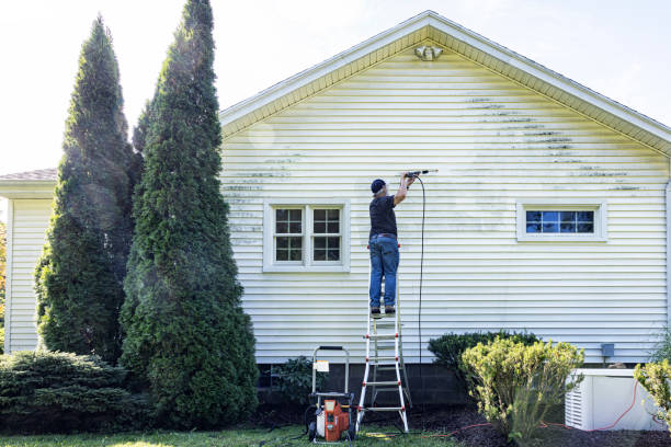 Best Pressure Washing Brick  in Suamico, WI